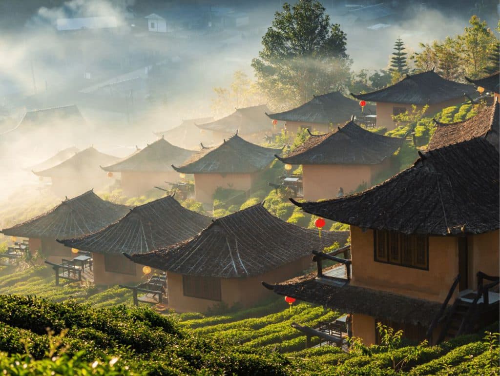 Ban Rak Thai Tea Village