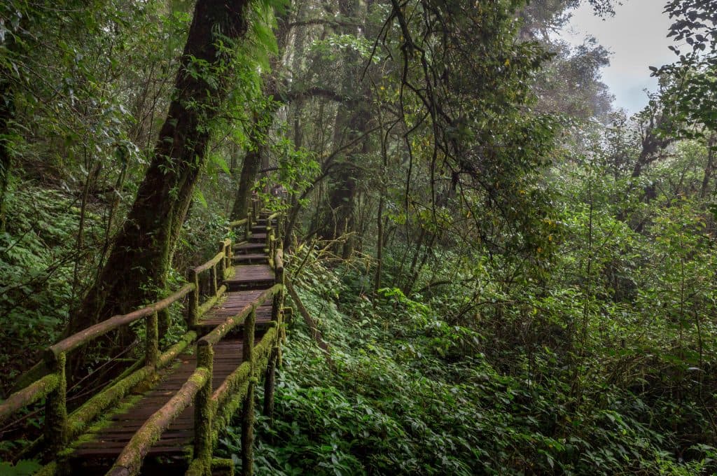 Doi Inthanon National Park