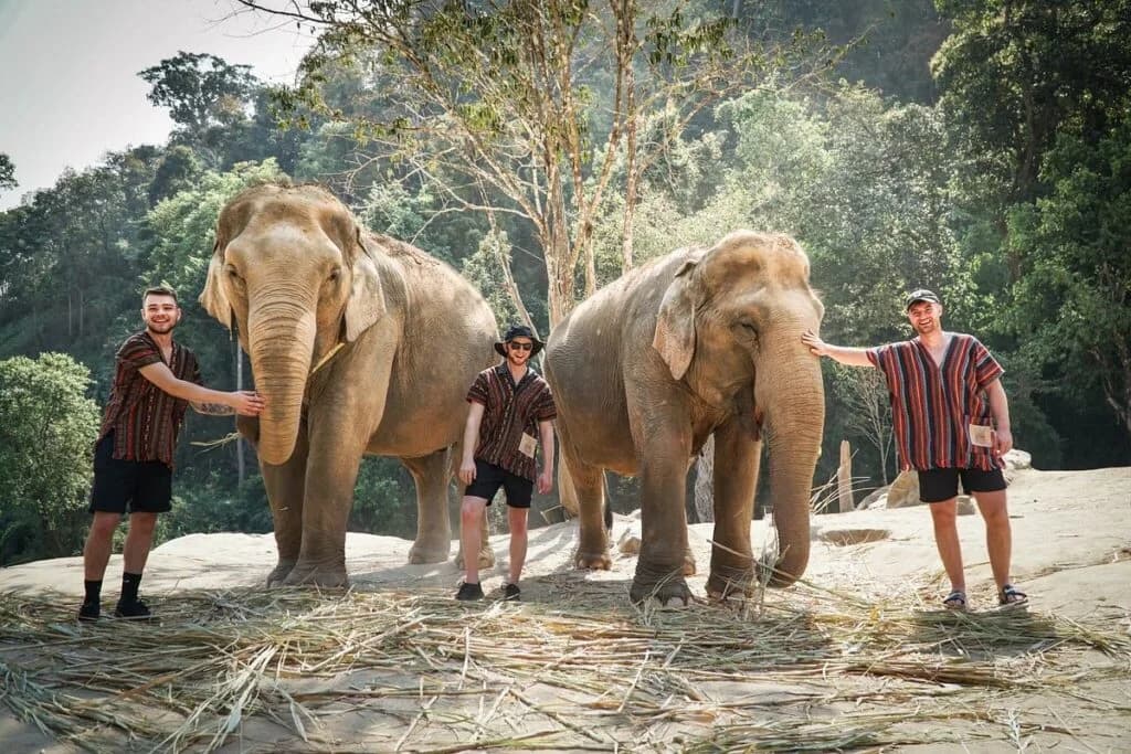 Ethical Elephant Sanctuary
