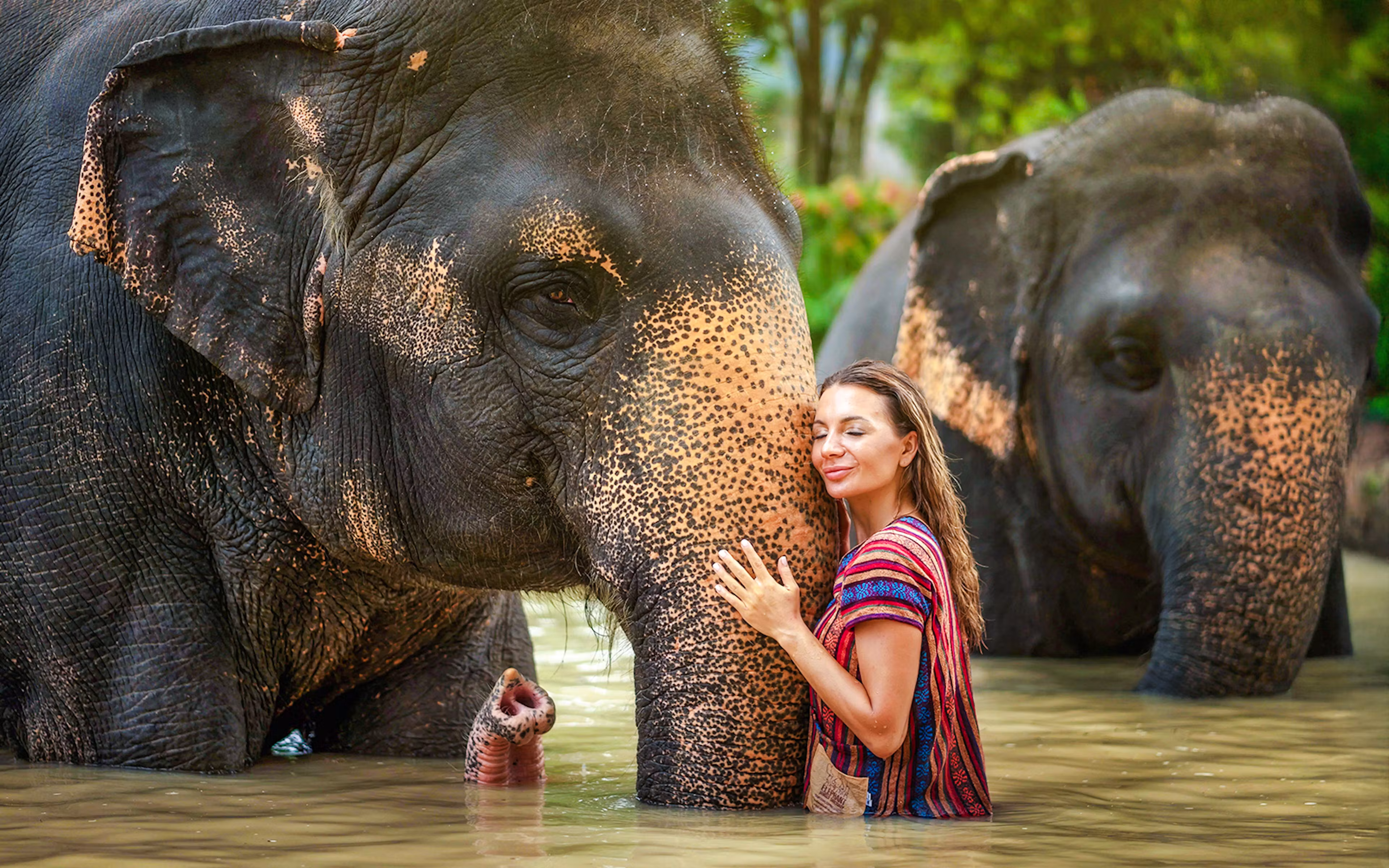 Ethical Elephant Sanctuary